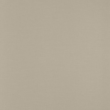 Andrea Rossi Spectrum Trend 54429-4