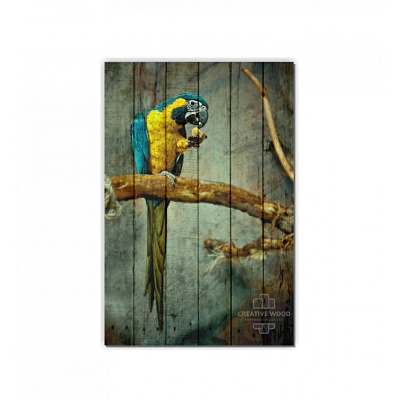 Картины ZOO - 6 Попугай, ZOO, Creative Wood Картины ZOO - 6 Попугай, ZOO, Creative Wood