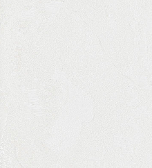 Обои Bernardo Bartalucci Gaga  84284-9