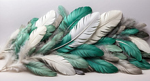 Design Studio 3D Feathers AG-FT-021